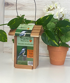 Birdfeeder surrounded by house plants