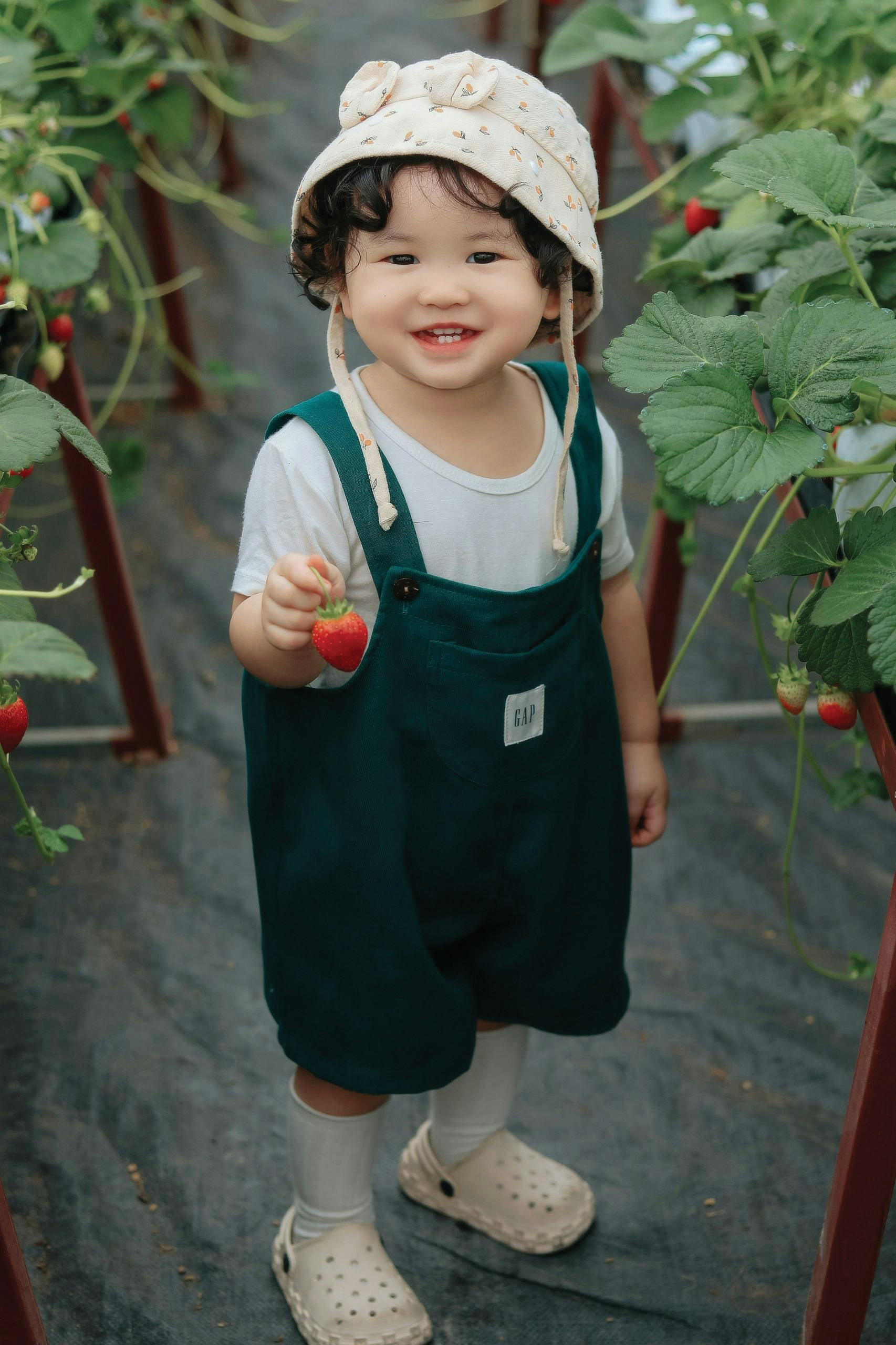 Child holding a strawberry